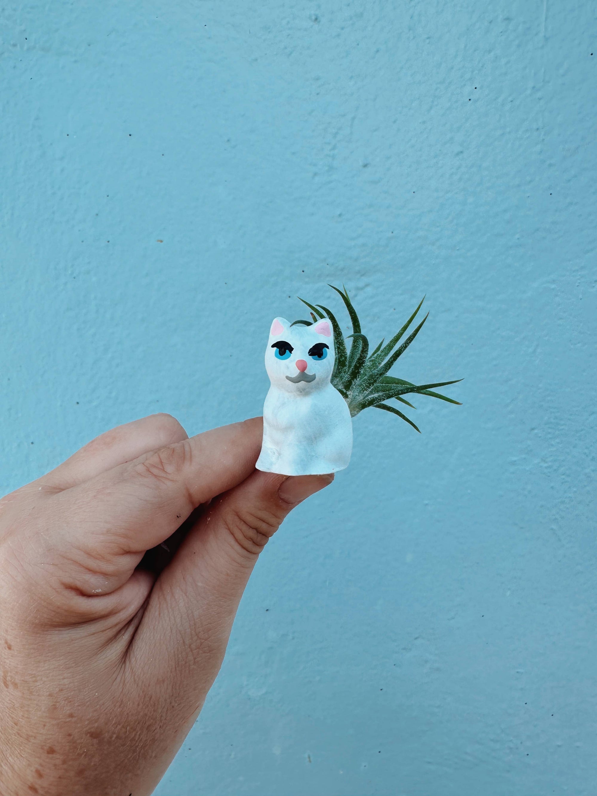 White Curio Cat Mini Planter with Air Plant