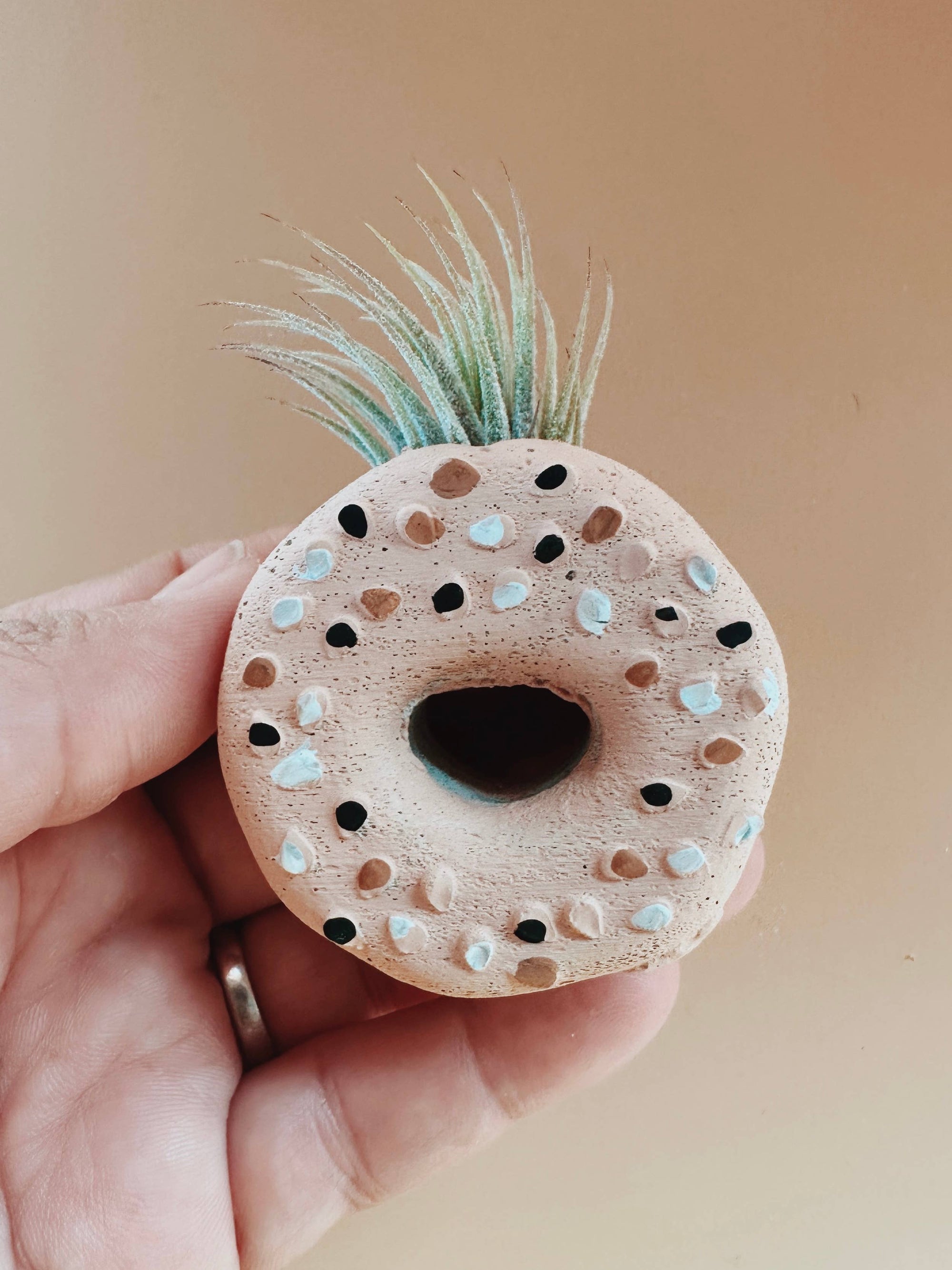 Everything Bagel Mini Planter with Air Plant