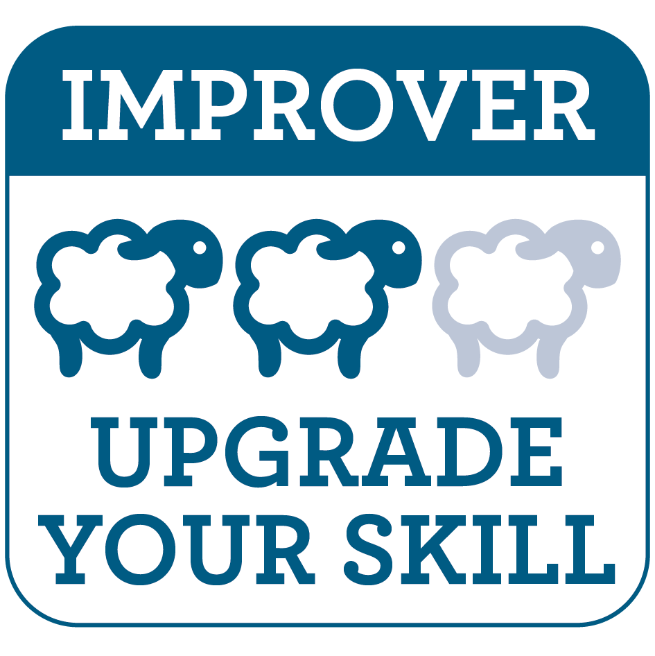 Sleepy Koala Needle Felting Craft Kit