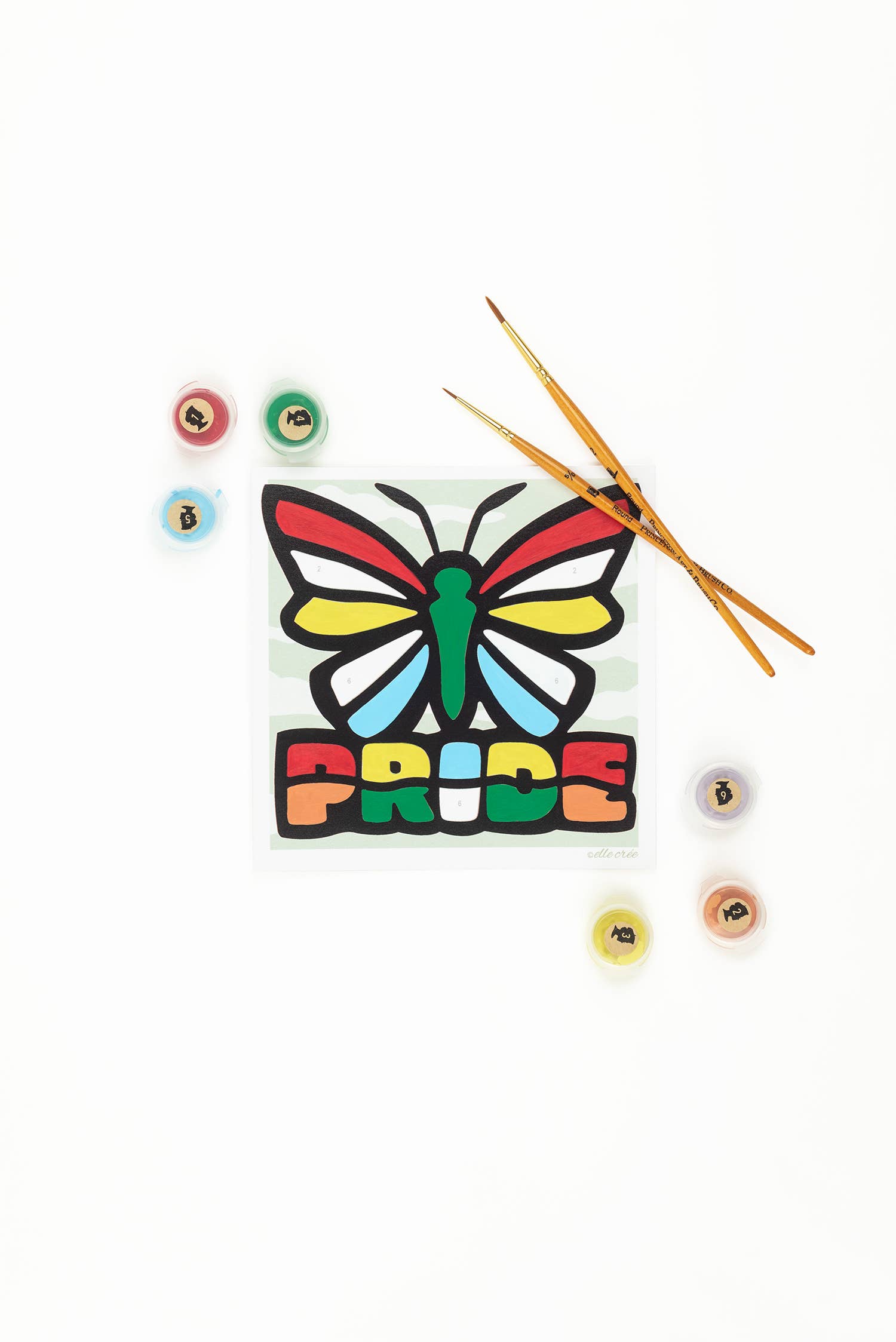 Pride Butterfly MINI PBN Kit