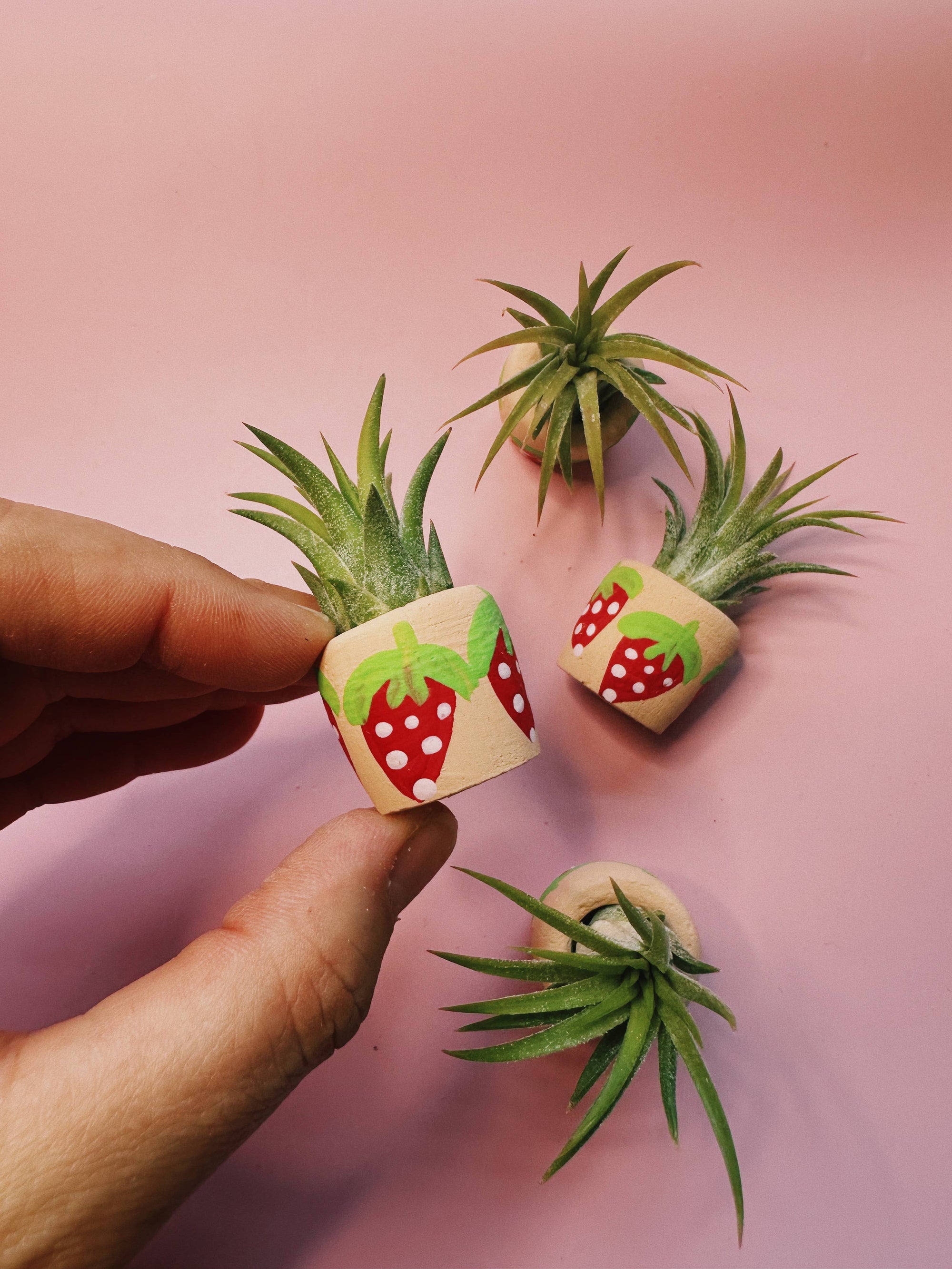 Berry Cute Mini Plant Pot with Plant