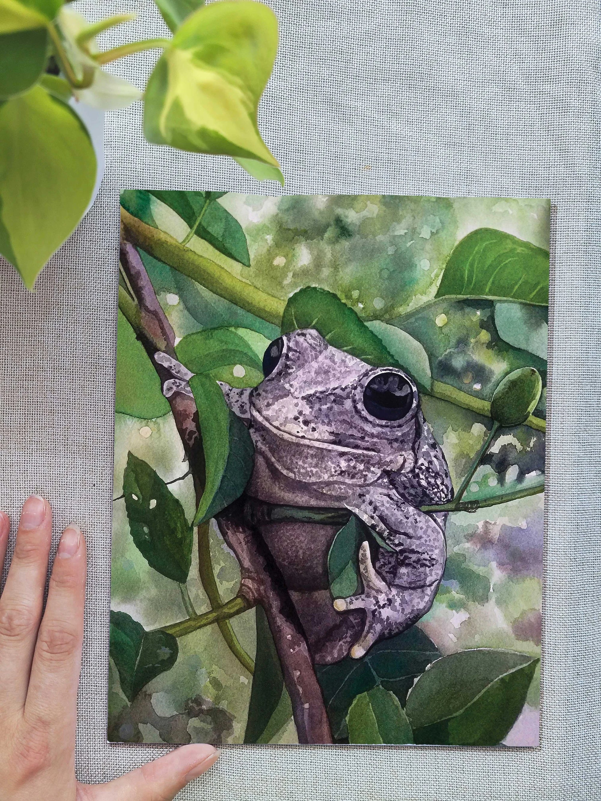 To Draw Attention | Art Prints