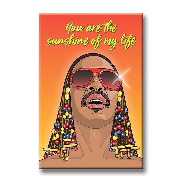 Stevie Wonder Magnet