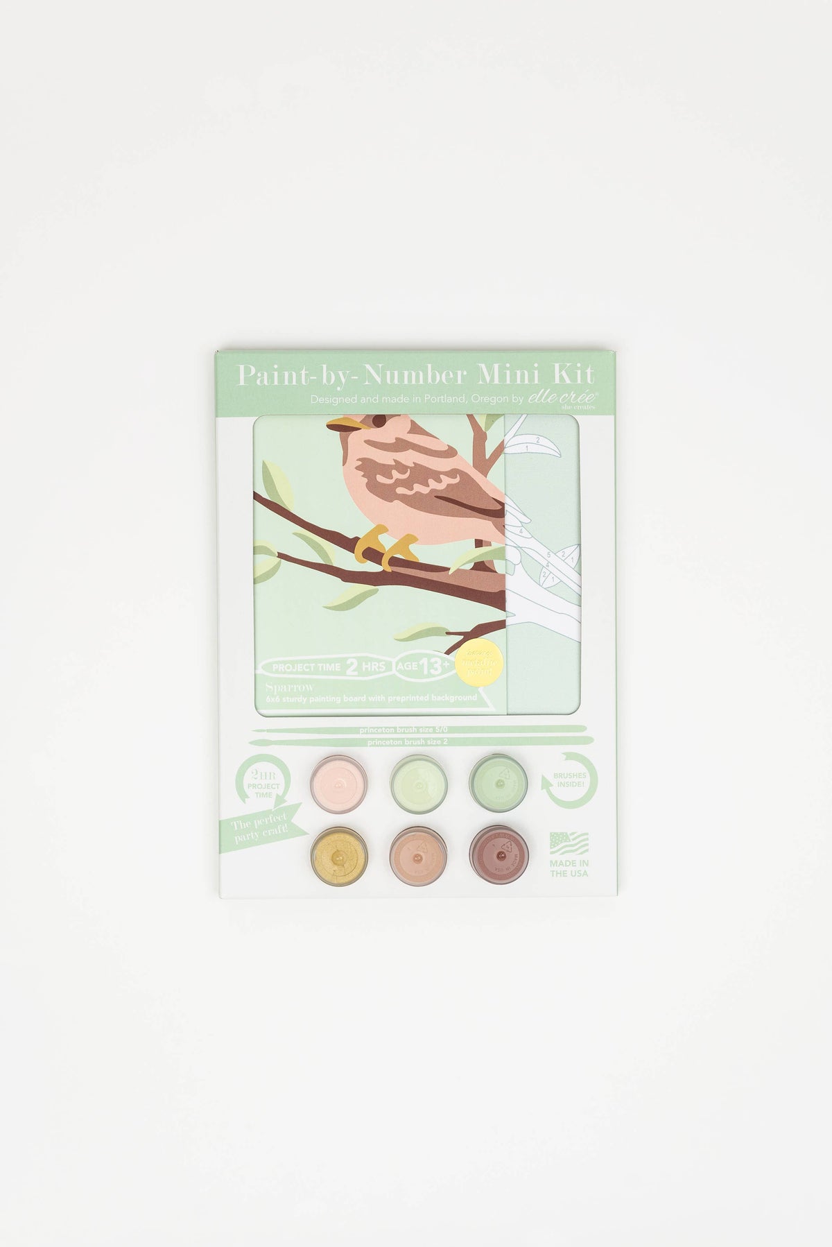 Sparrow MINI Paint-by-Number Kit