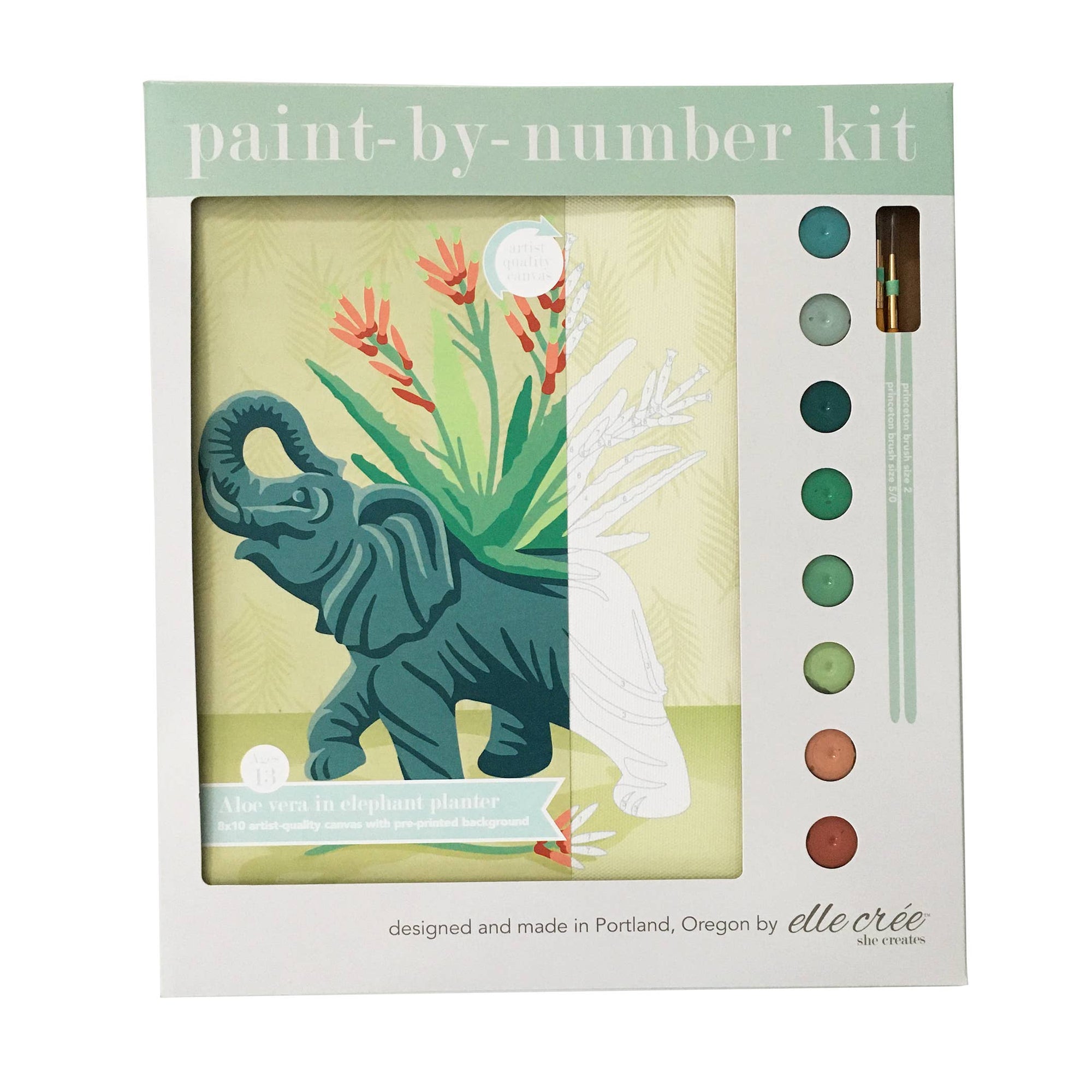 aloe vera plant kit Aloe Vera in Elephant PBN Kit