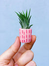 The Minimal Mini Planter