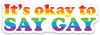 It&#39;s Okay to Say Gay Die Cut Sticker