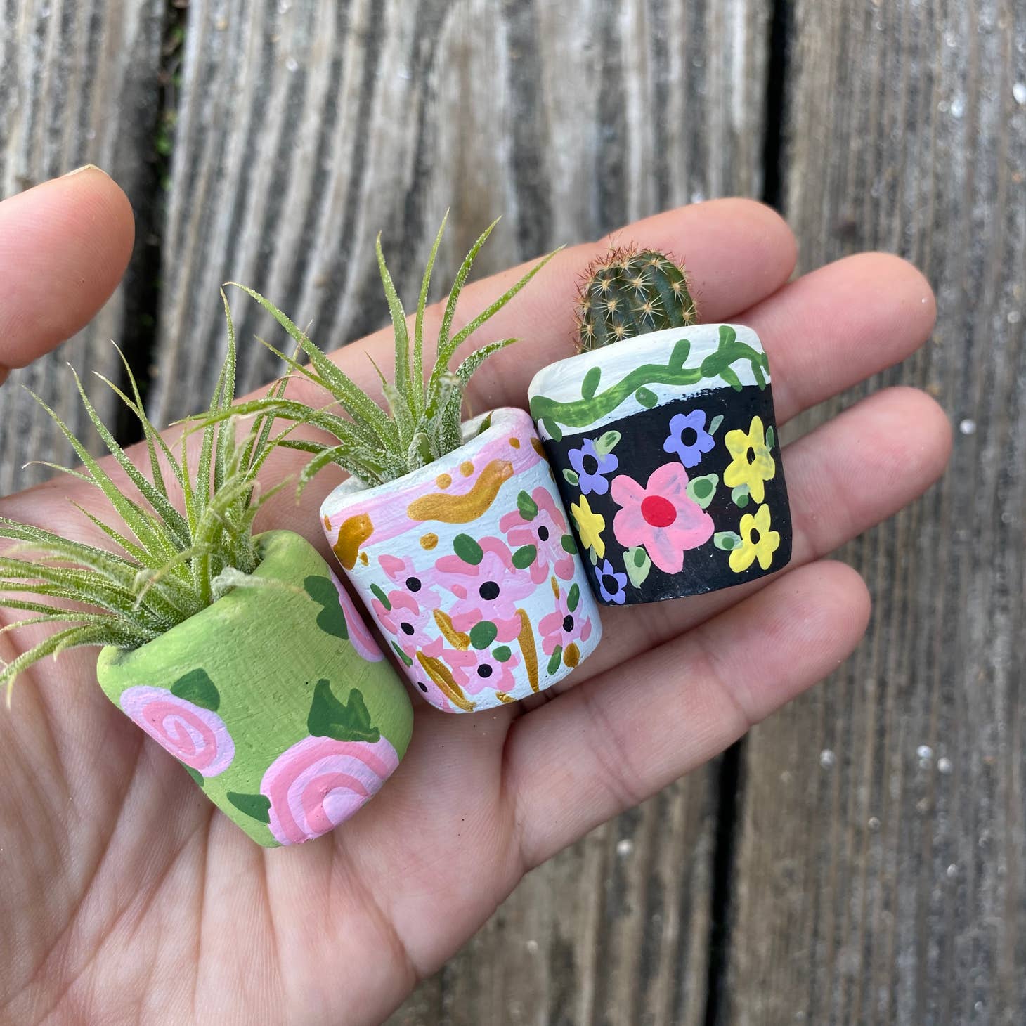 O'Berry Succulent Planters