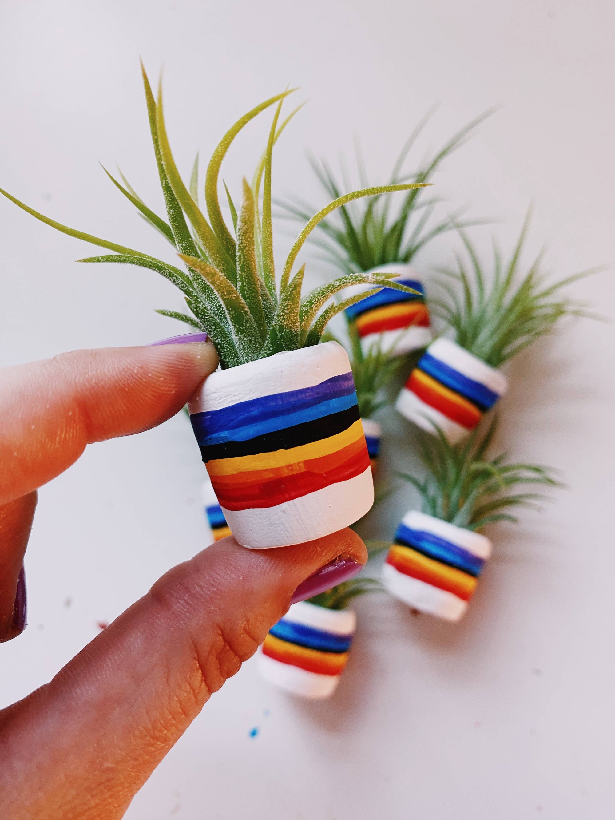 rainbow pot plant 80"s Rainbow Mini Planter