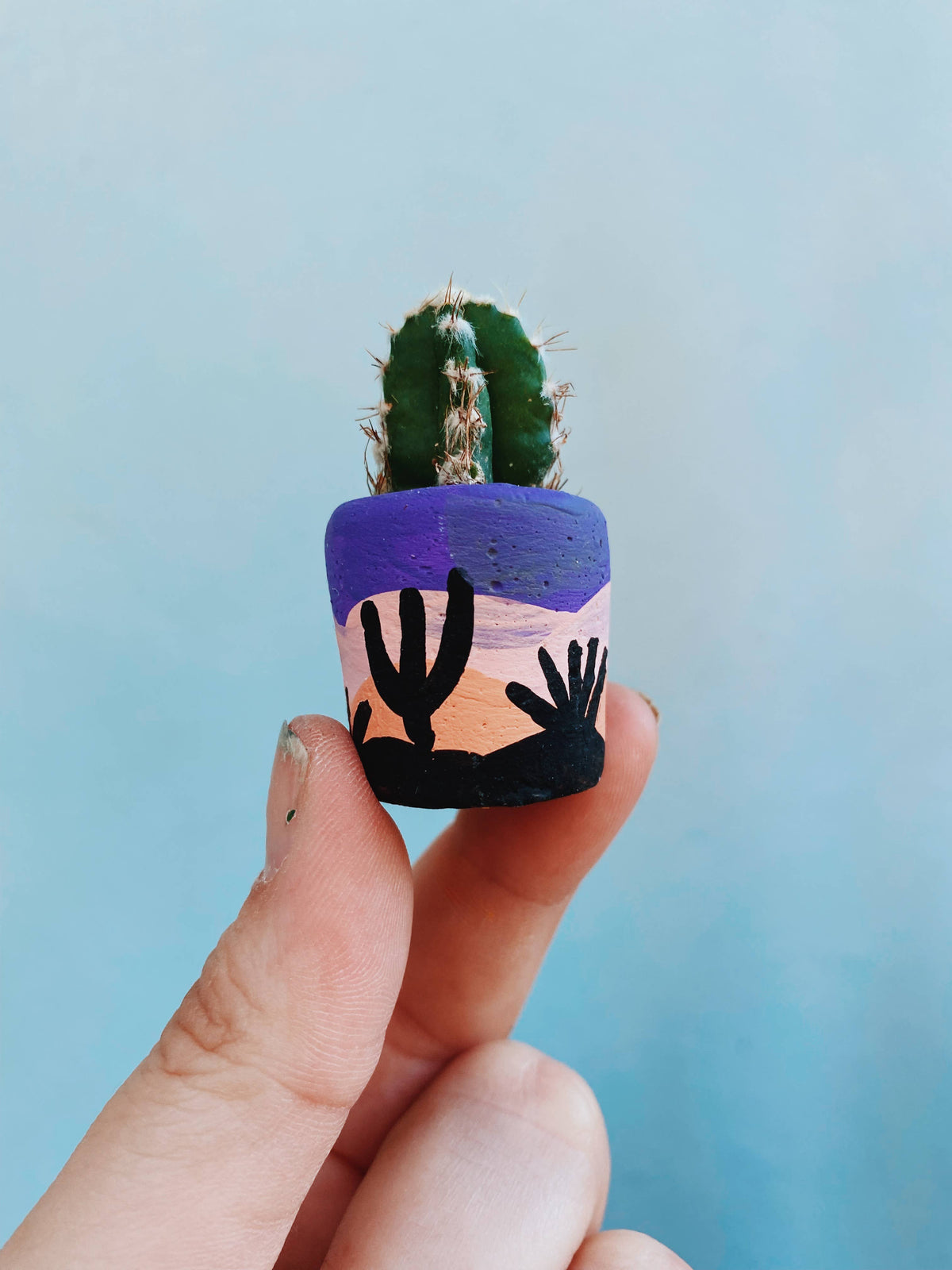 Sunset Cactus Mini Planter