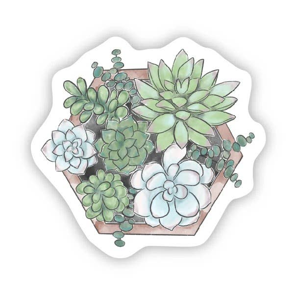 Succulents in a Box Sticker