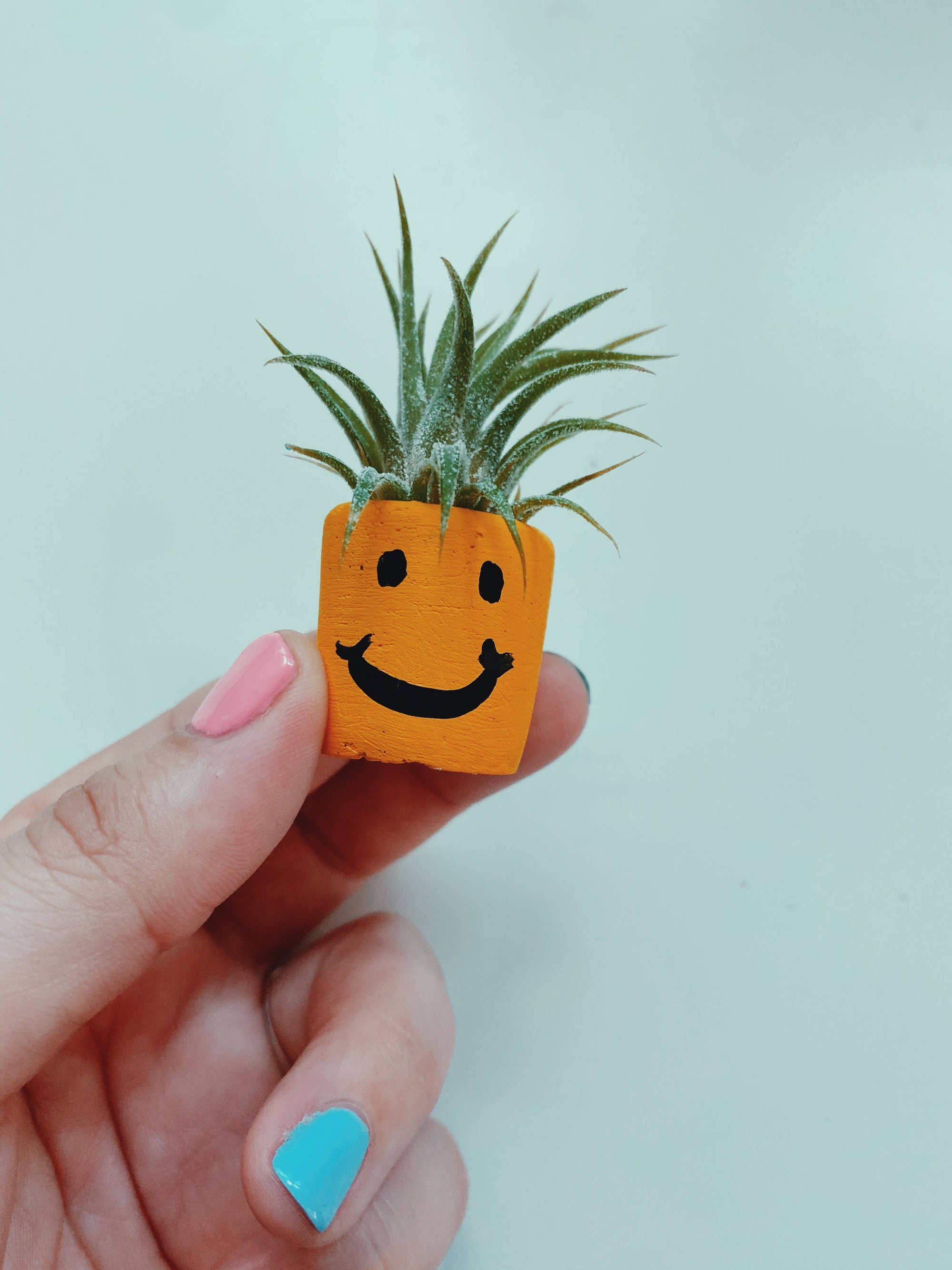 plant pot with smiley face Smiley Face Mini Pot and Plant