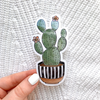 Watercolor Cactus Sticker