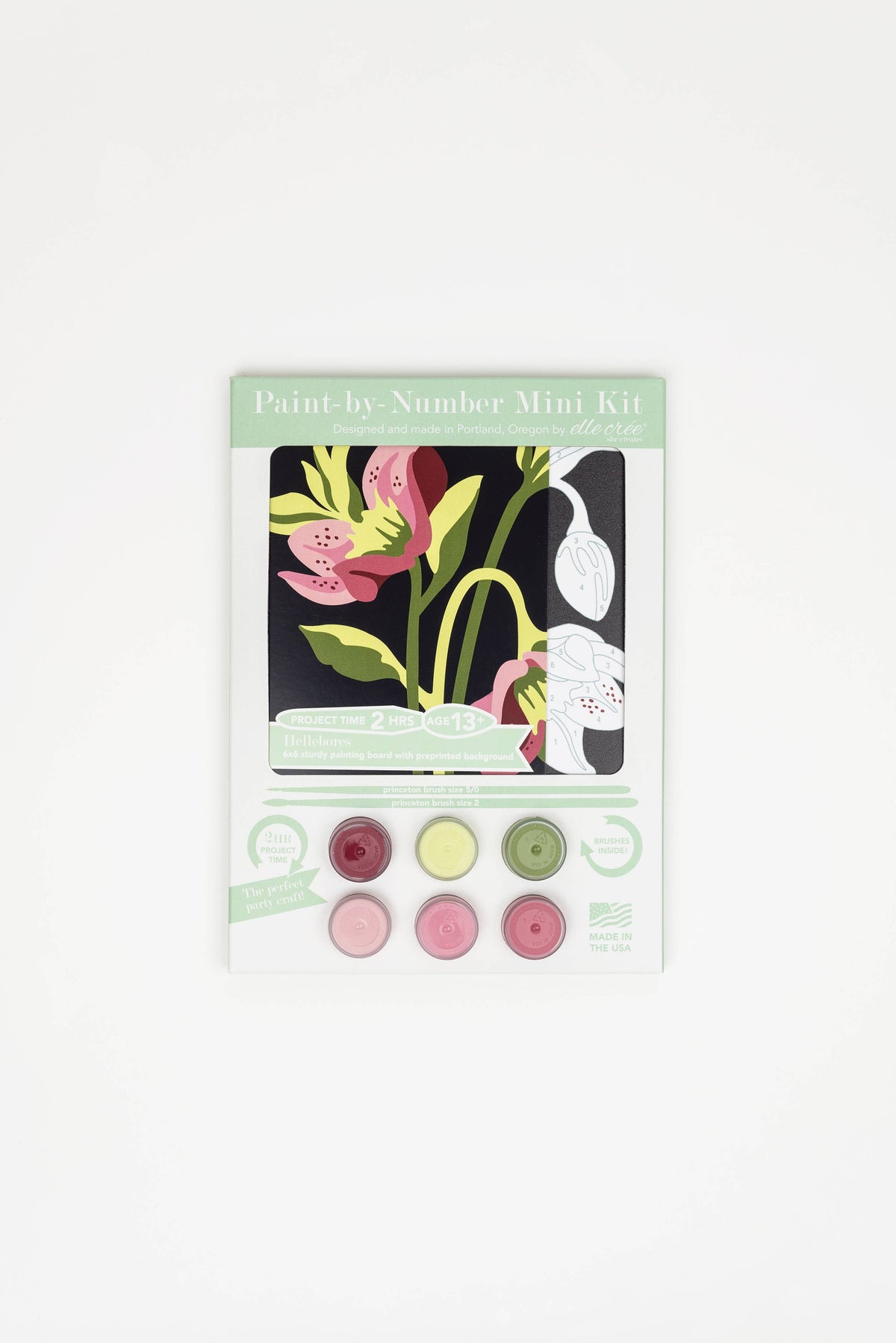 Hellebores MINI Paint-by-Number Kit