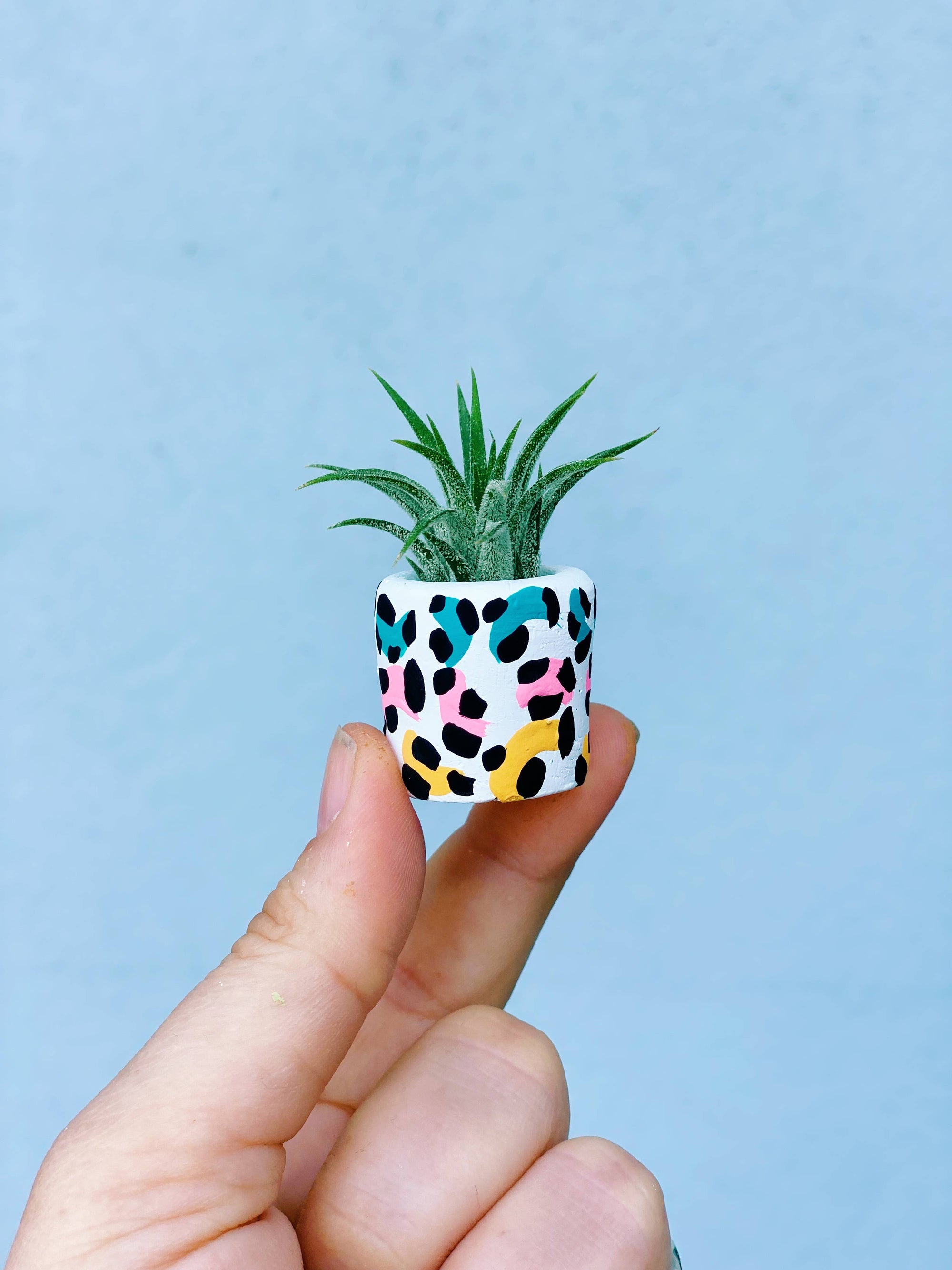 leopard print plant pots Colorful Leopard Print Mini Plant and Planter