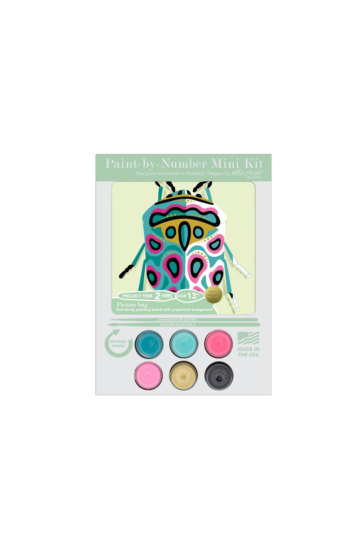 Picasso Bug MINI PBN Kit